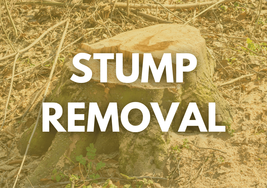 Commercial Stump Removal