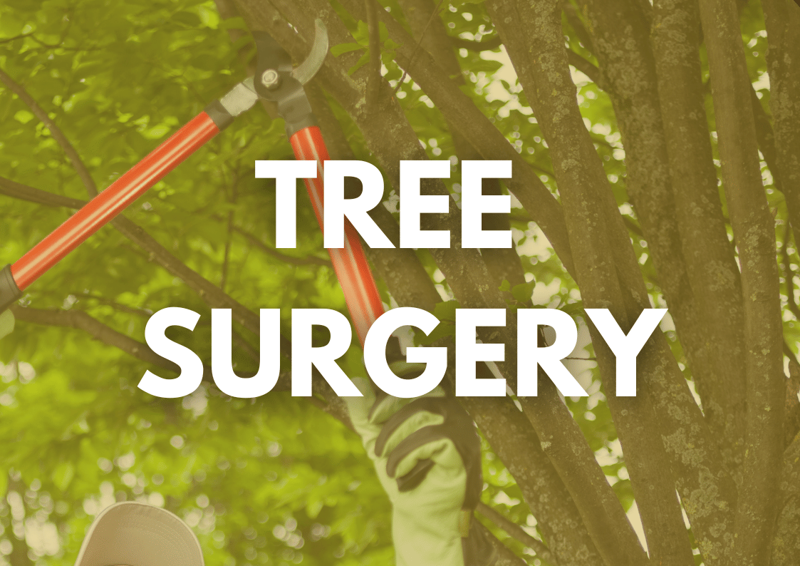 Commercial Tree Surgery